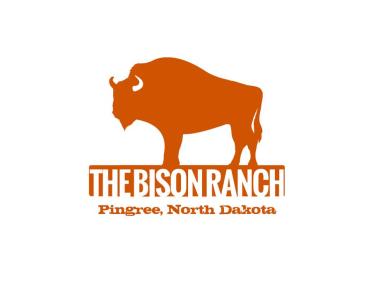 the bison ranch, llp photo