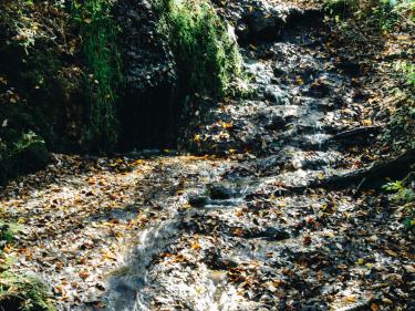 sheyenne river state forest is home to north dakota’s only waterfall. photo