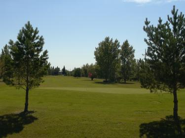 Beautiful Greens