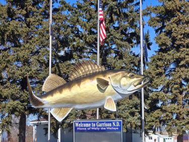 wally the walleye - located in garrison!  photo