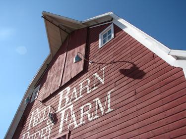 red barn & berry farm photo