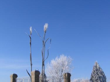 the wheat monument photo