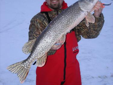 Big Northern on the Ice