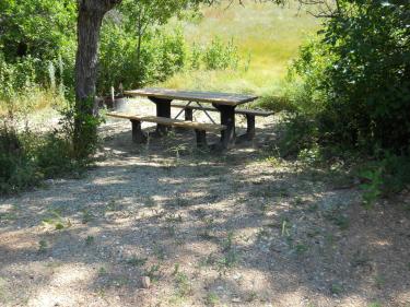 the campground has many shaded and private campsites. photo