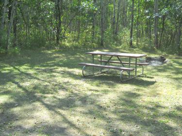 private campsites in wooded area photo