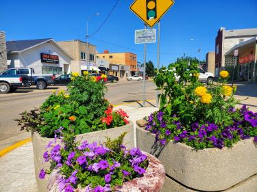 main street cavalier photo