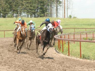 chippewa downs photo