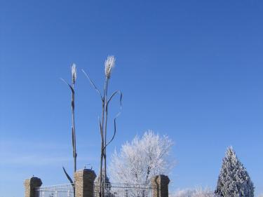 The Wheat Monument