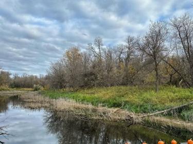 woodland trail photo