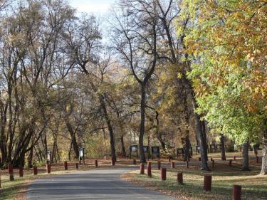 oak park photo