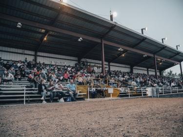 View of the Crowd