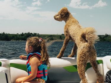 child and dog enjoy jamestown reservoir photo