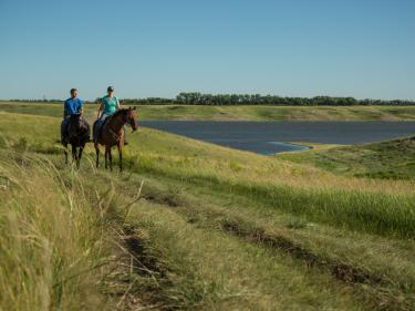 horse trails photo