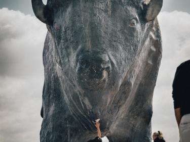 world's largest buffalo photo