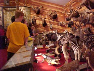 pfennig wildlife museum photo