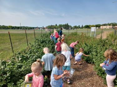 hi line prairie gardens & orchard  photo