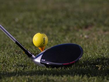 fox hills golf course photo
