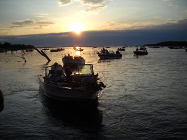 grahams island state park photo