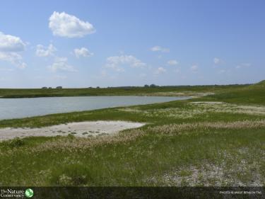 one of many alkaline lakes at john e. williams preserve photo