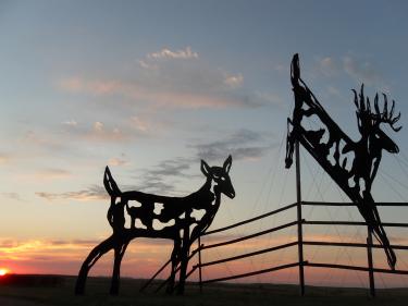 Deer Crossing