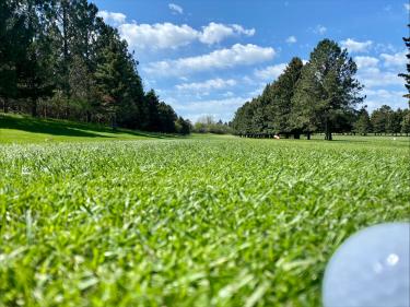 linton country club photo