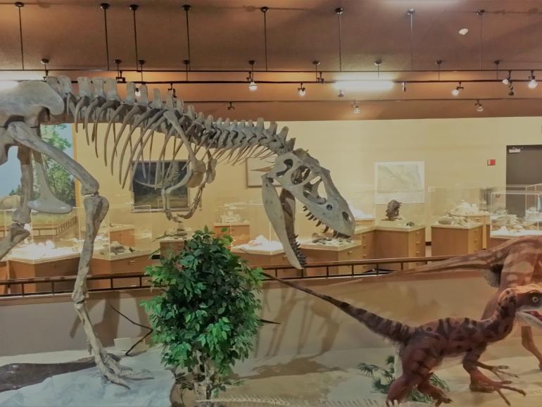 Dinosaur exhibits at Dickinson Museum Center