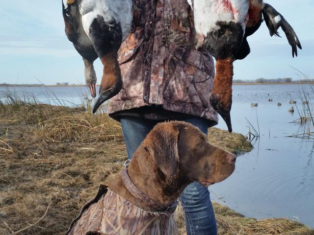 Mouse River Outfitters - Guided Waterfowl Hunting in North Dakota