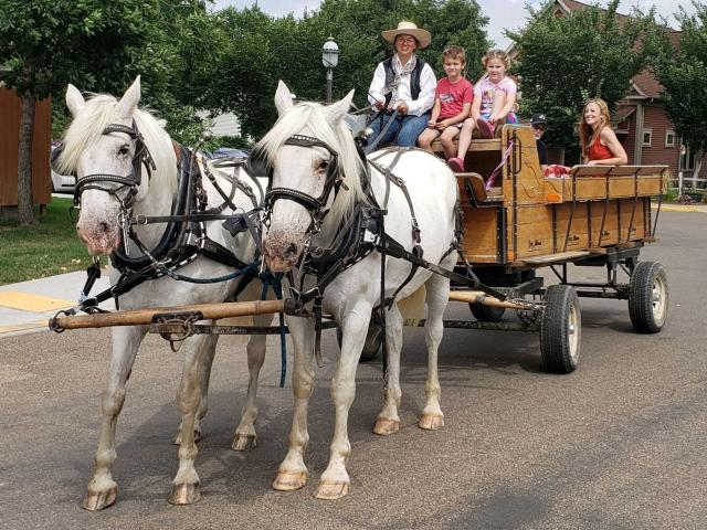 c5e66ee1aeceaa9646d80574411d40