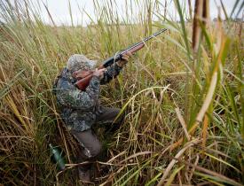 Goose Hunting in North Dakota