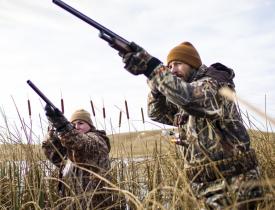 Waterfowl hunting