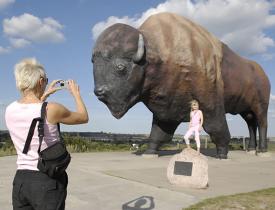 Buffalo