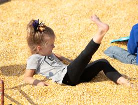 fun in the corn