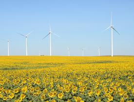 wind turbines