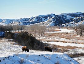 Theodore Roosevelt National Park