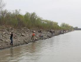 Group of individuals fishing on a river bank