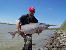 Fisherman holding a paddlefish