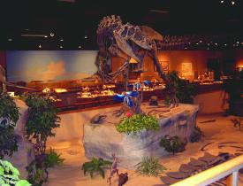 Dino