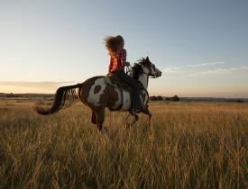 horseback riding