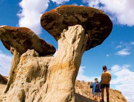 mushroom rocks