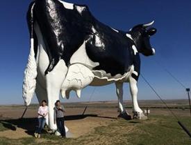 38 foot Cow Sculpture