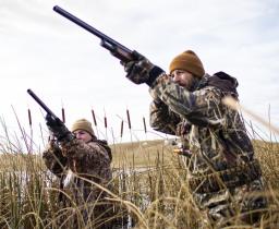 Waterfowl hunting