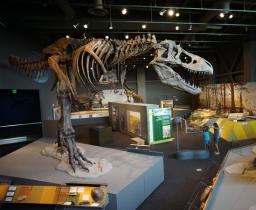 Dinosaur display at the Heritage Center