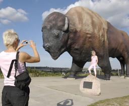Buffalo