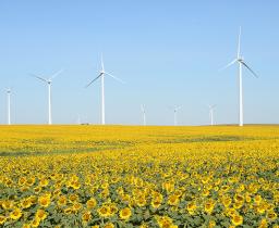 wind turbines