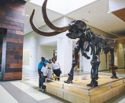 Heritage Center dinosaur display