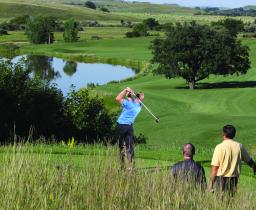 Hawktree Golfing