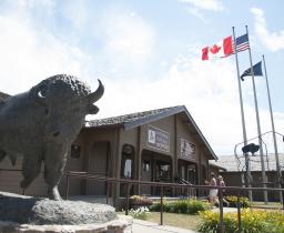 Photo of buffalo museum