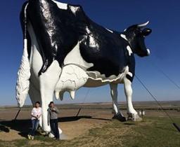 38 foot Cow Sculpture