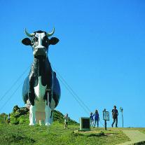 Cow statue in North Dakota