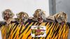 world tiger day at roosevelt park zoo photo